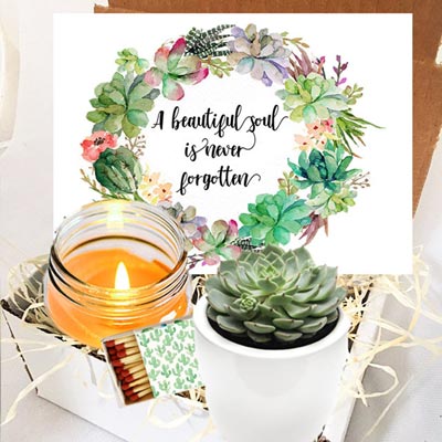 Succulent Candle Gift Box