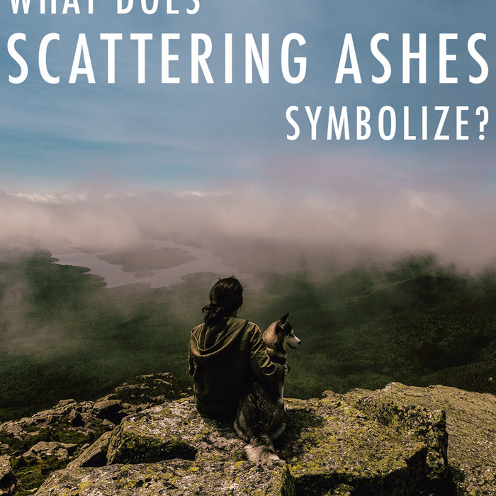 What does scattering ashes symbolize?