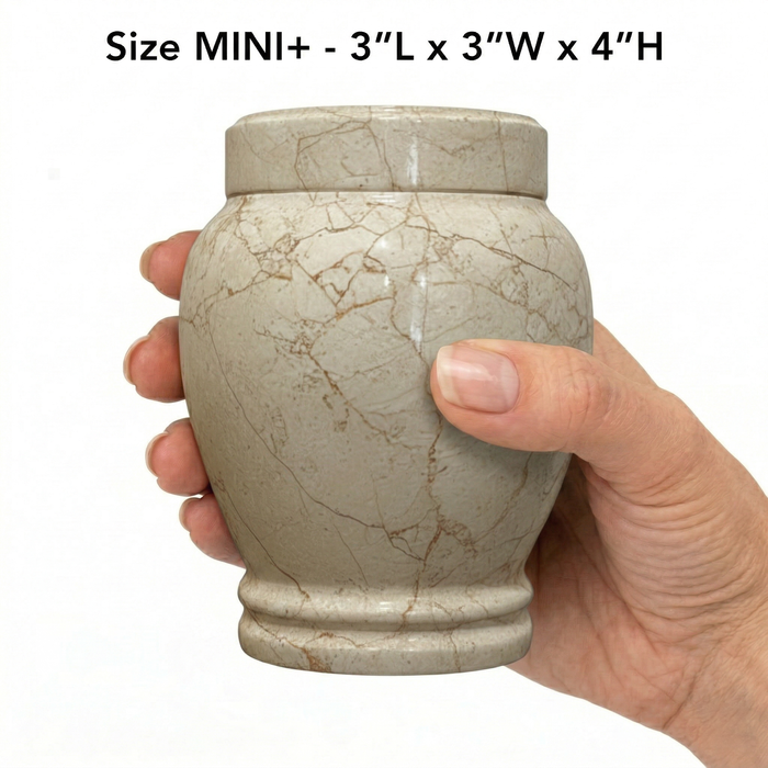 Calla - Crema Marfil Marble Urn - Mini +