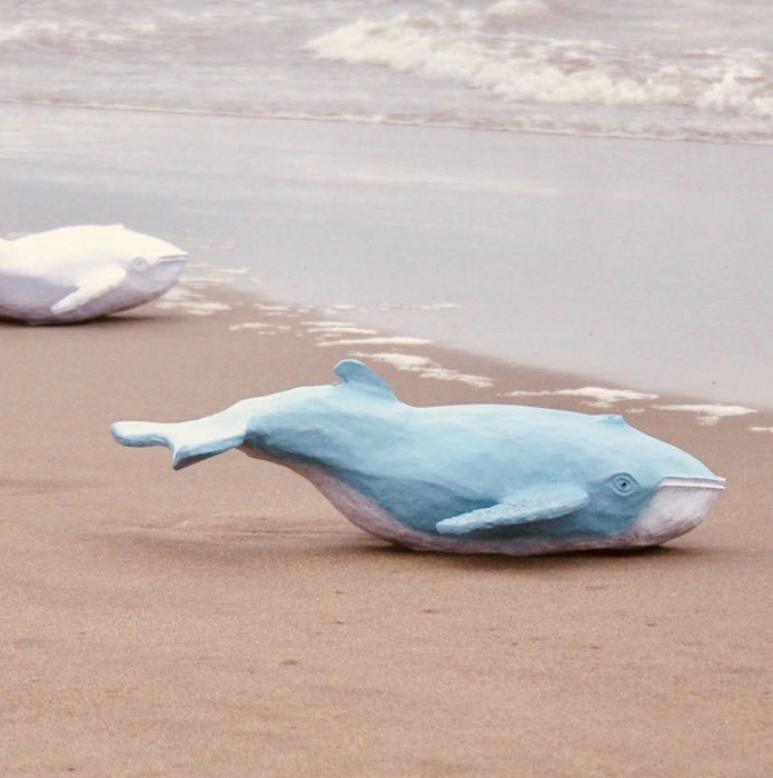 Companion Whale on the Beach