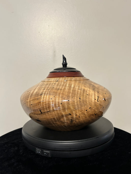 Adult Figured maple urn with Padauk top 