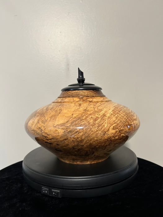 Spalted maple urn with zebra wood top