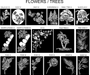 Flowers/Trees Artwork Choices