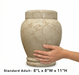 Calla - Crema Marfil Marble Urn -Standard Adult
