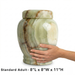 Grün - Light Green Onyx Urn - Standard Adult