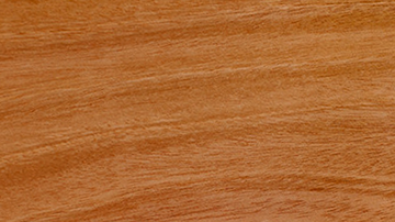 Sample of Mahogany
