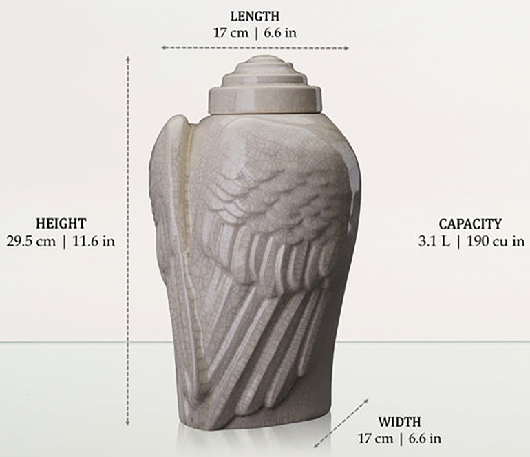 Adult Size Dimensions Shown in the Craquelure