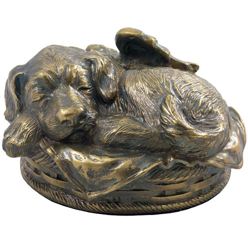 Dog Cremation Urn - Bronze