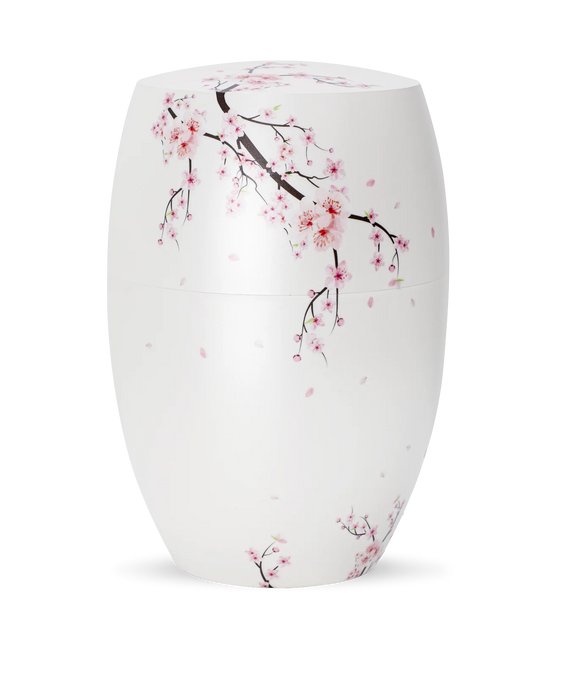 Cherry Blossoms Gypsum Urn