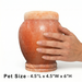 Dahlia - Pink Himalayan Salt Urn - Pet Size