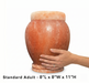 Dahlia - Pink Himalayan Salt Urn - Standard Adult