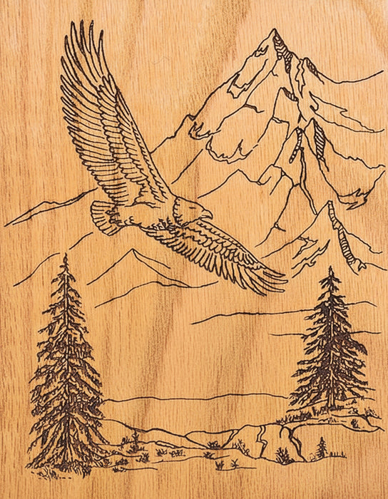 Design - Flying Eagle