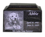 Engraved Photo Pet Urn in Granite