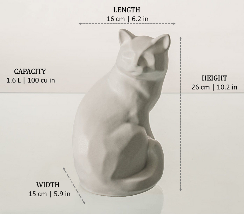 Size Dimensions Shown in the White