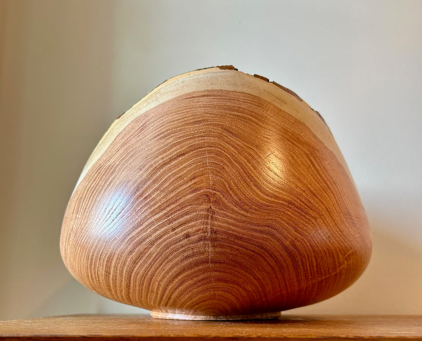 Honey locust Turned Urn with Natural Edge 69 - angle 3