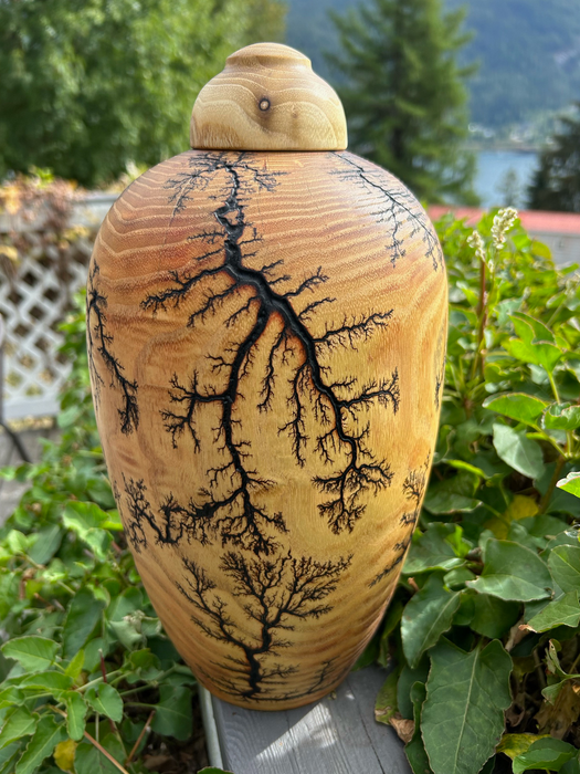 Fractal Black Locust Turned Urn - Backside