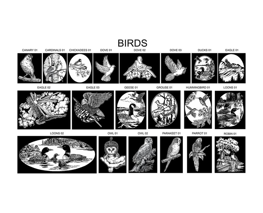 Birds