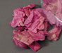 Bougainvillea Flower Petals