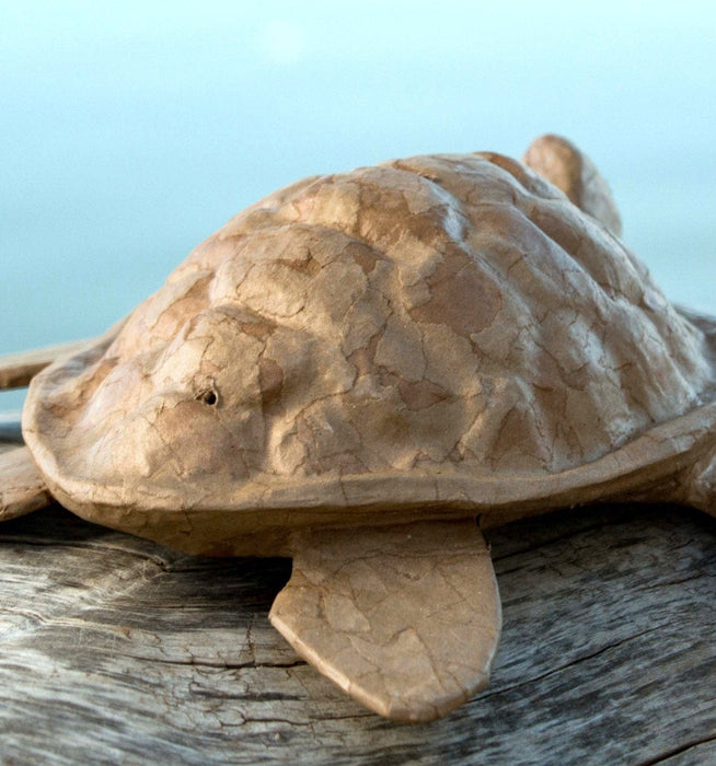 back view of the paper turtle