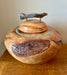 Pet Sized Burl Oak Turned Urn 85 - angle 2