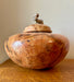 Pet Sized Burl Oak Turned Urn 85 - angle 3