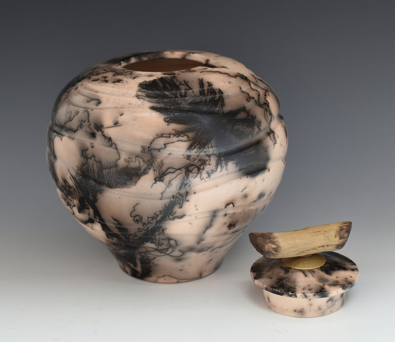 Comes with top opening non-threaded lid