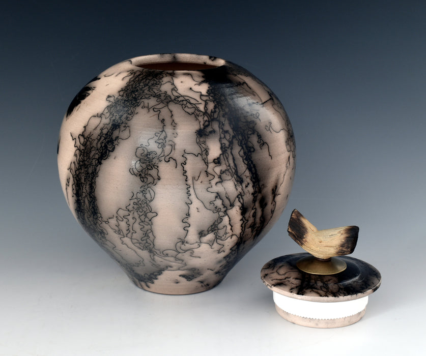 Comes with top opening non-threaded lid