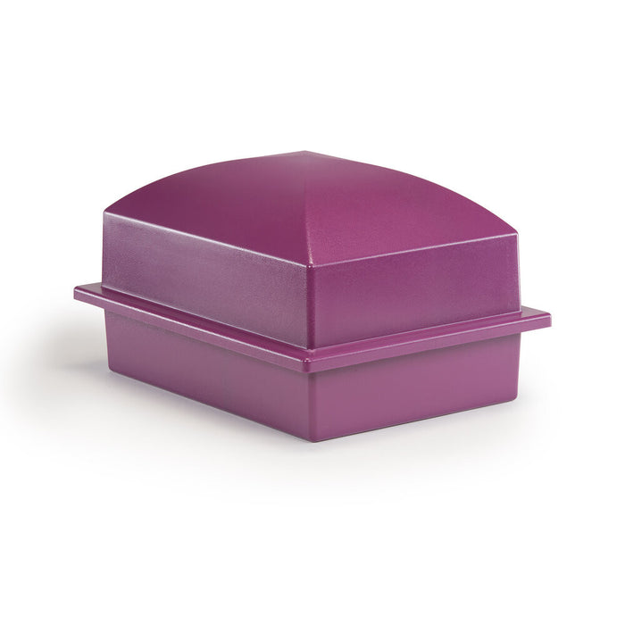 Regent Vault - Purple