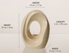 Size Dimensions Shown in the Craquelure