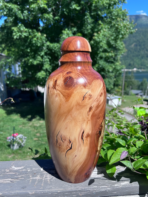 Small Spalted Apple Wood Turned Urn 17 - angle 2
