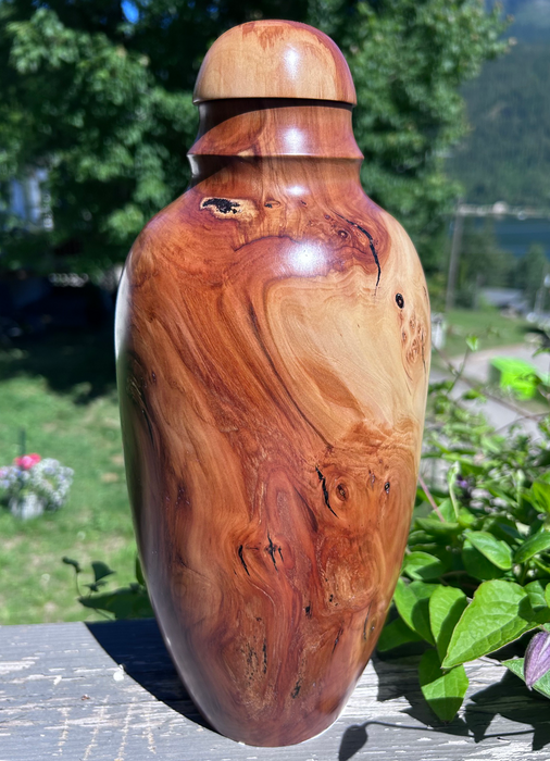 Small Spalted Apple Wood Turned Urn 17 - angle 4