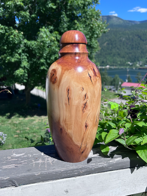 Small Spalted Apple Wood Turned Urn 17