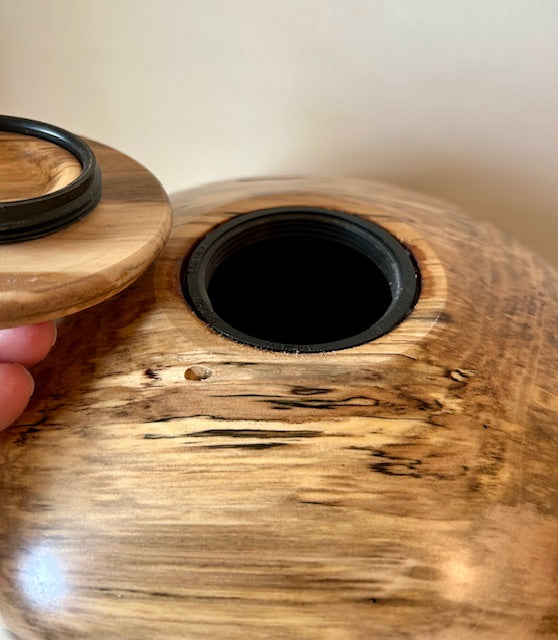 Comes with top opening lid