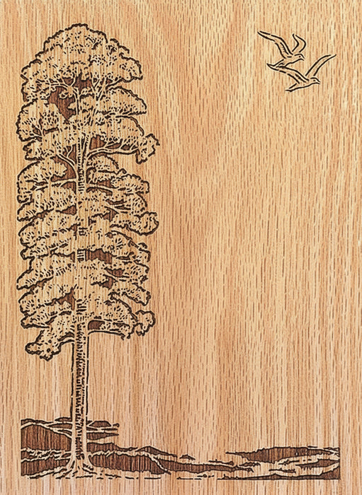 Design - Tree & Birds