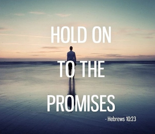 Hebrews 10:23 