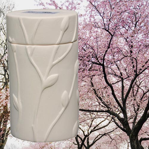 Flowering Cherry Tree Urn - Grow a tree from ashes